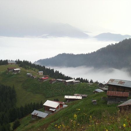 Ayder Hasimoglu Hotel Eksteriør billede